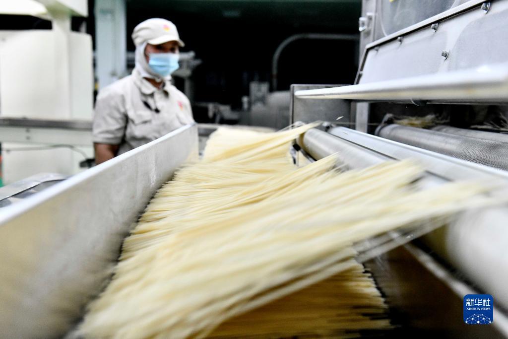 太阳游戏攻略